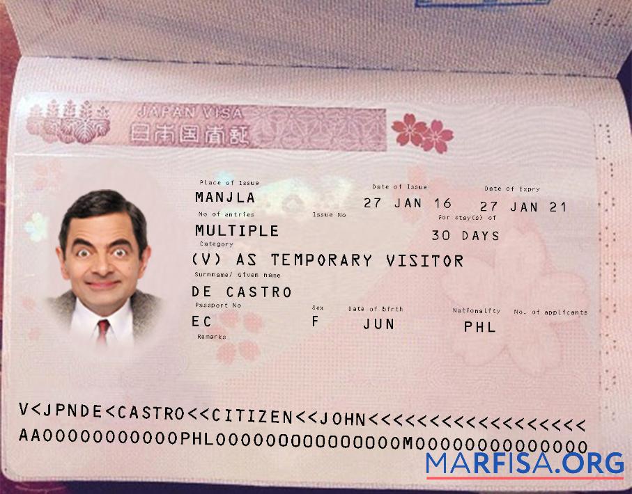 Blank Japan visa example